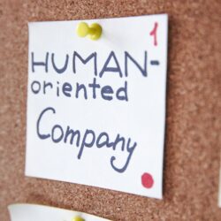 Creación de Empresas en Estados Unidos Tu Socio en el Éxito Empresarial